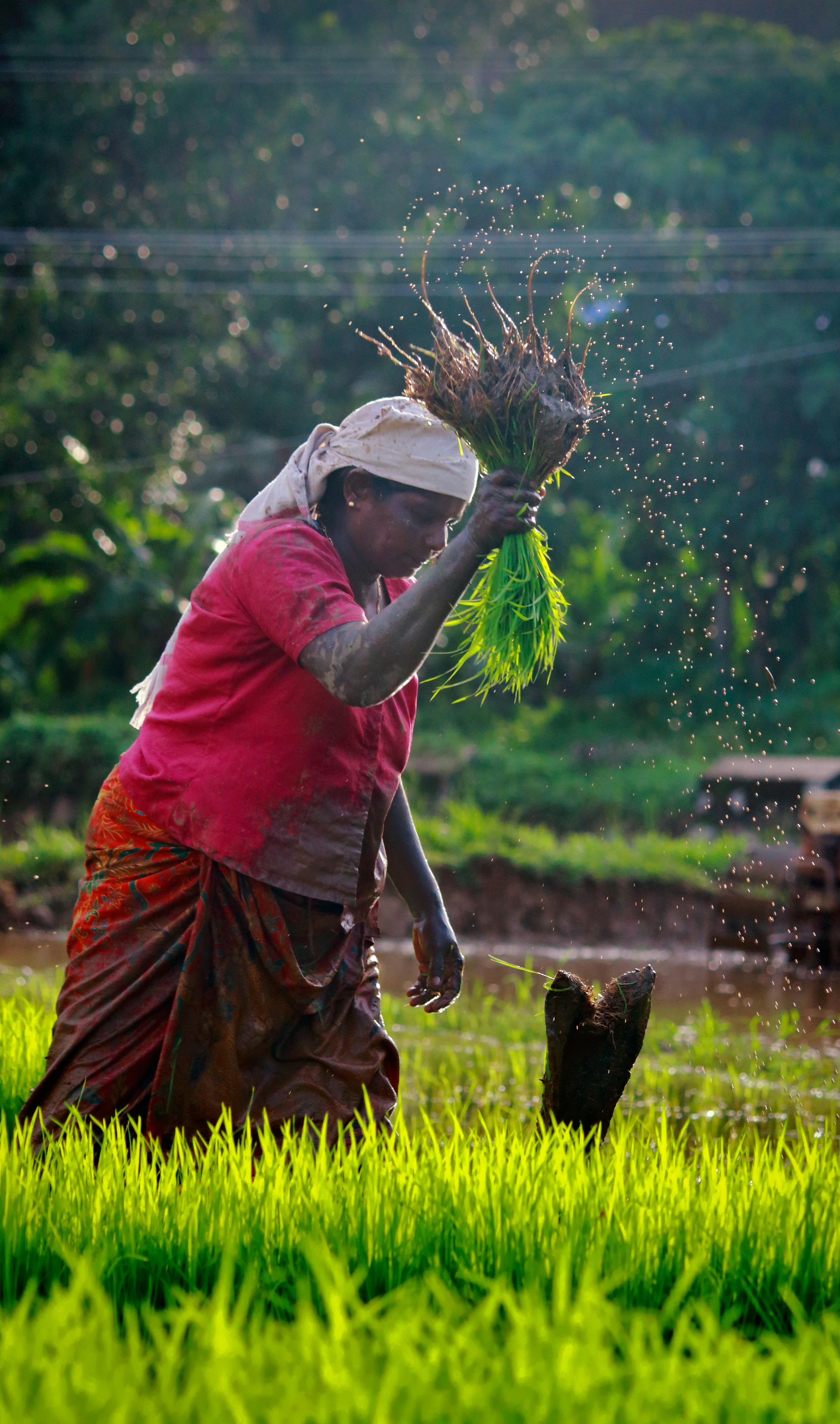 Women farmers with produce
