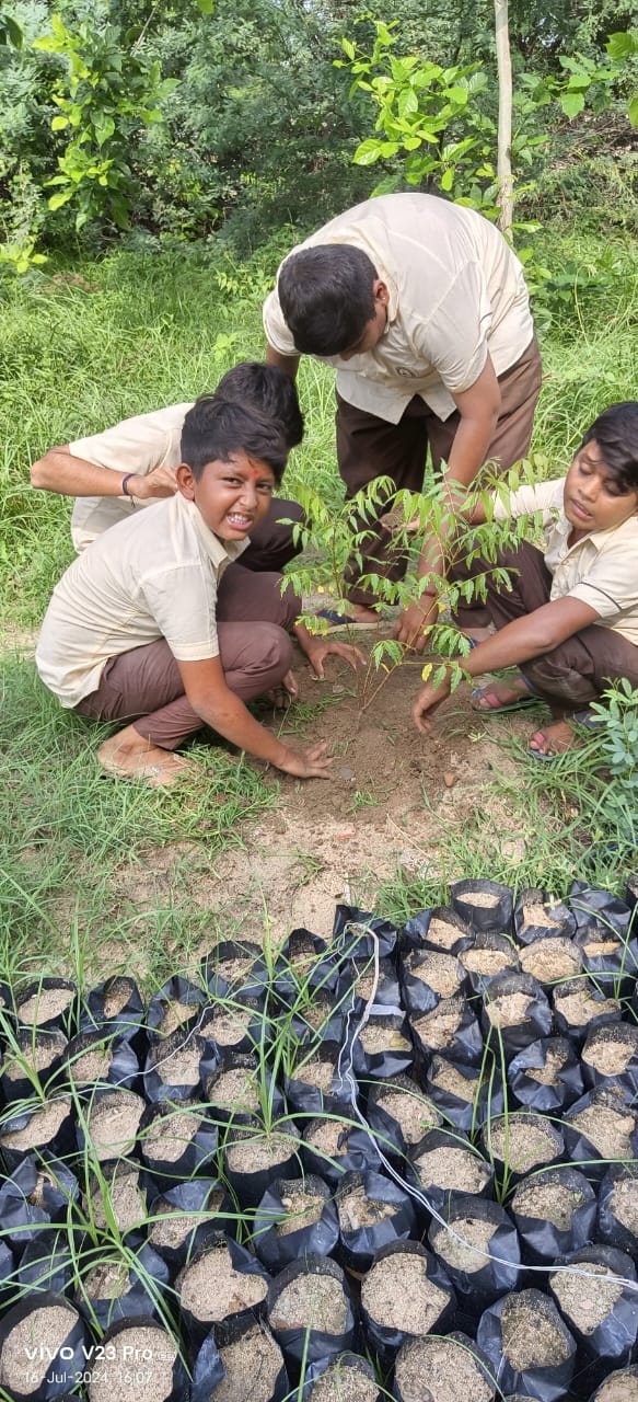 School children planting saplings