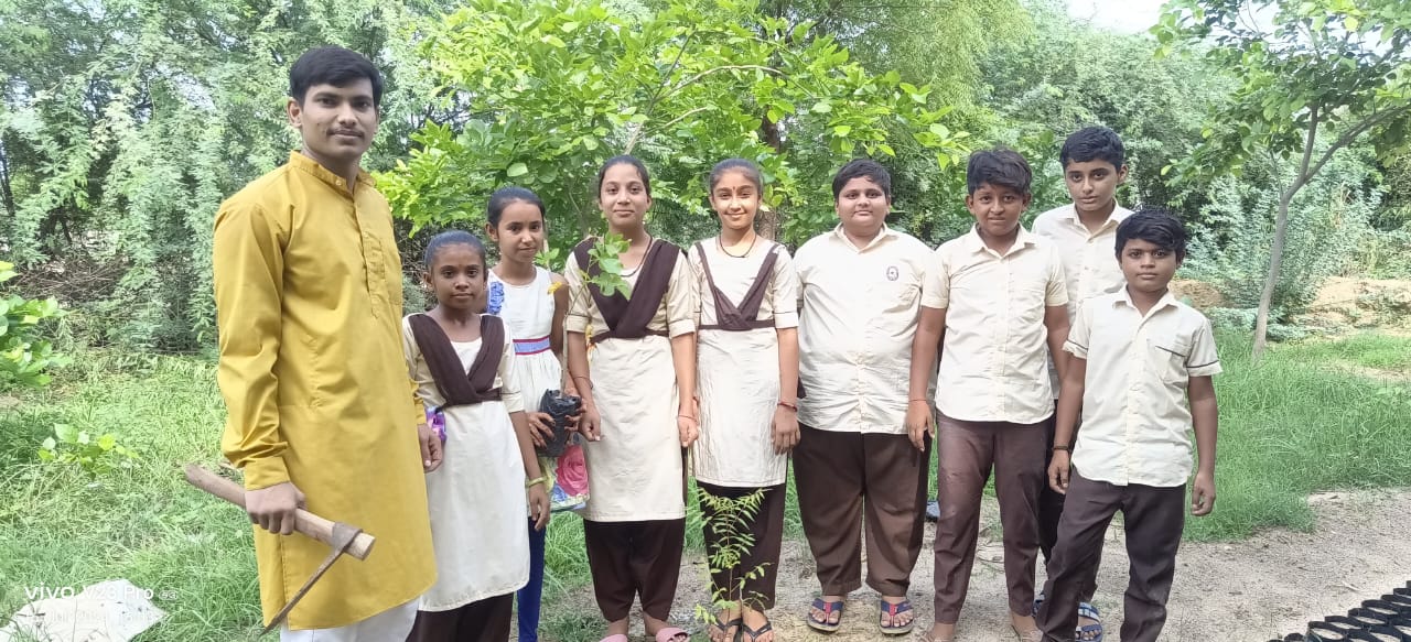 Tree Plantation